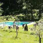 Willa Cascina Gretaio, Dimora Tipica